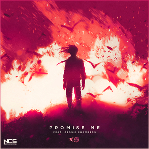 bluephoto蓝摄全见版安装
